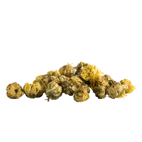 Golden Chrysanthemum